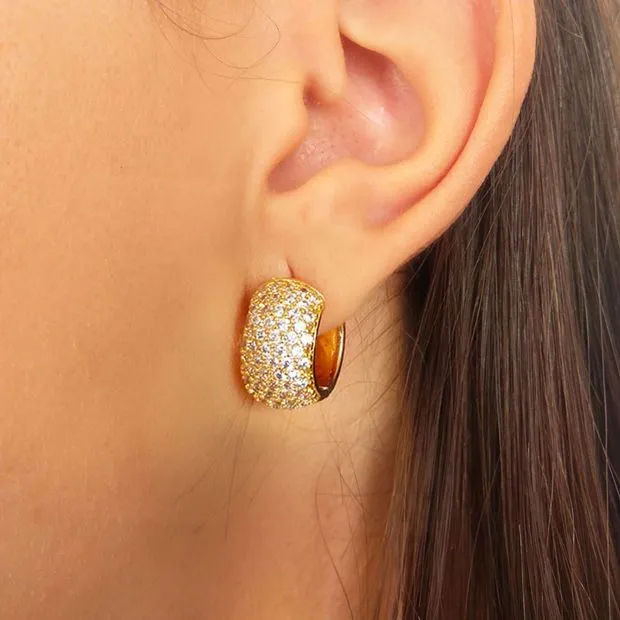 Zirconia Hinged Ring Earring